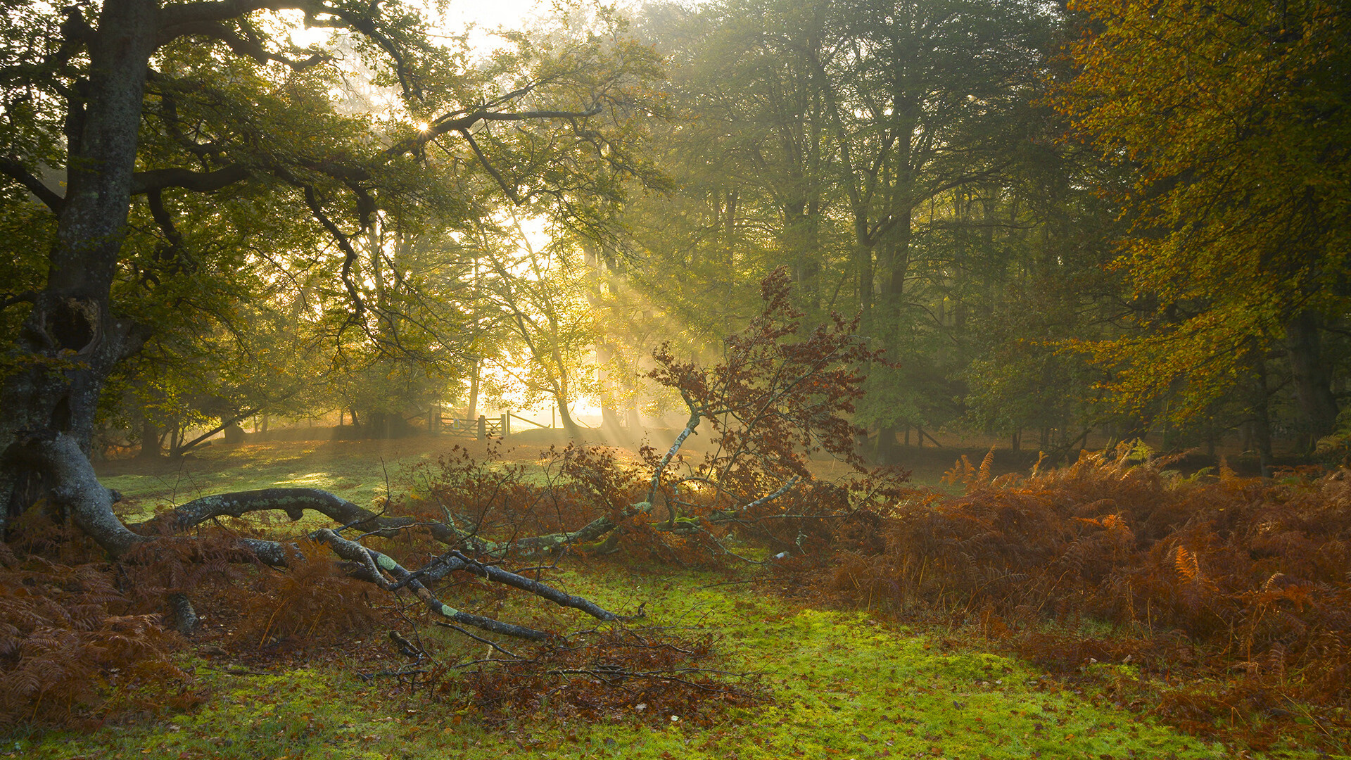 《电竞行业人才需求激增:从培训到职业路径全解析》,电竞人才的发展前景