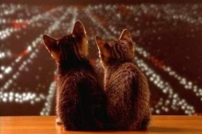 爱游戏娱乐网址-“青训基地引入先进科技设备，推动技术革新”，青训学校