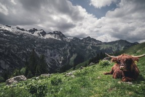 爱游戏-意大利柔道选手在女子比赛中获得铜牌，意大利柔道冠军