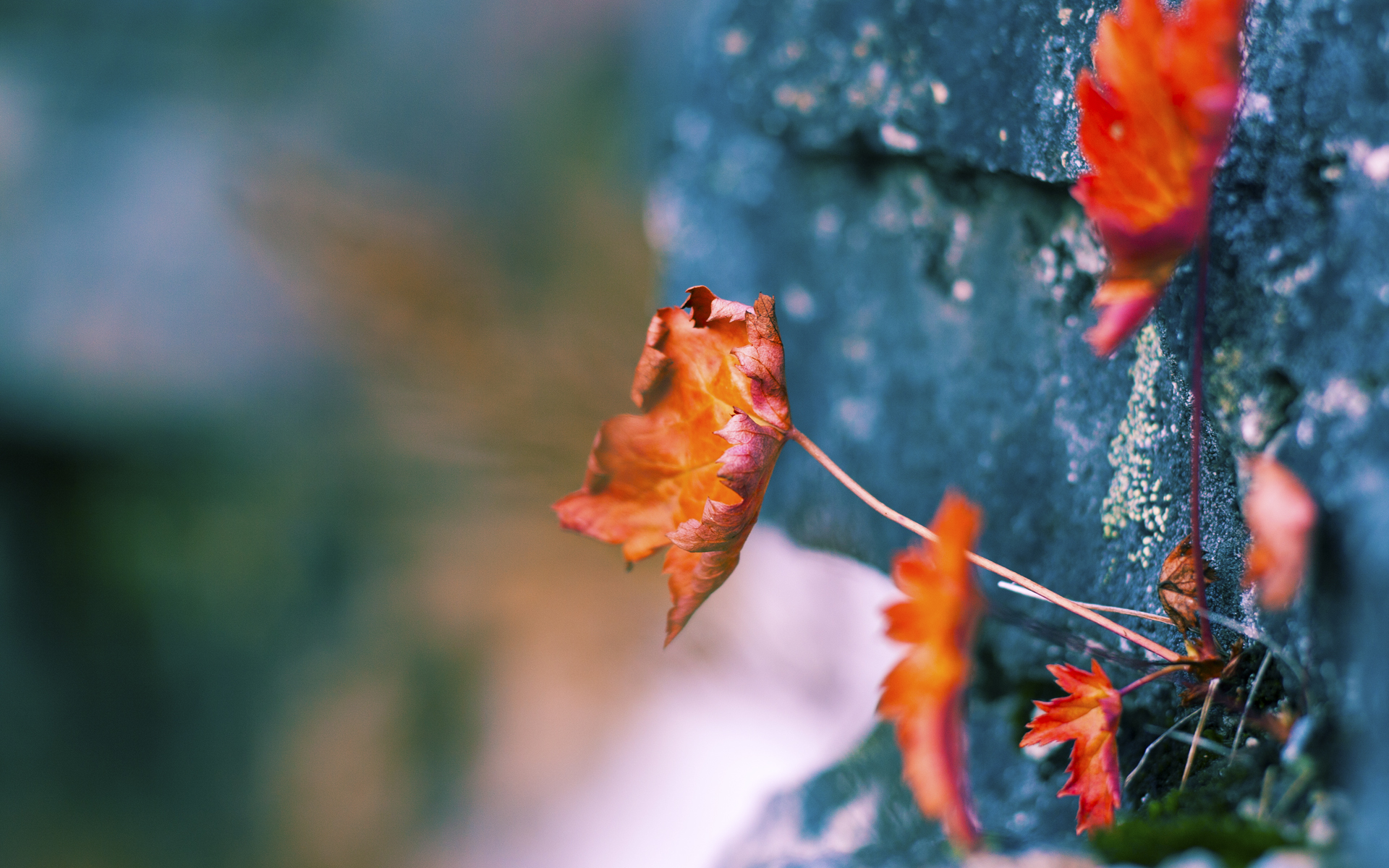 全国青少年“篮球影像创作节”在杭州盛大开幕,挖掘文化潜能,ybdl青少年篮球发展联盟