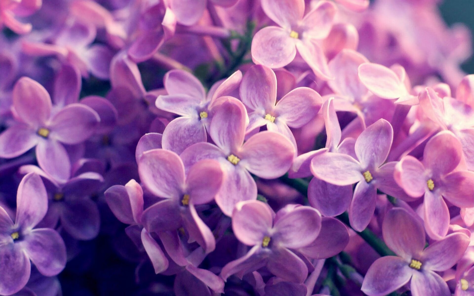 山野泥地摩托赛，泥泞中追寻速度的极致快感，泥地极限摩托破解版